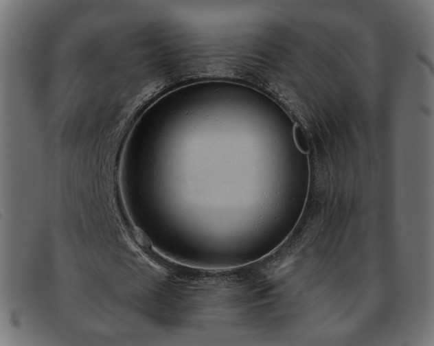 X0000093770625200710161242