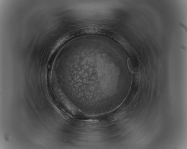 X0000093770626200710161242