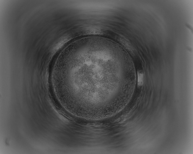X0000093770627200710161242
