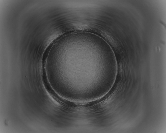 X0000093770630200710161242