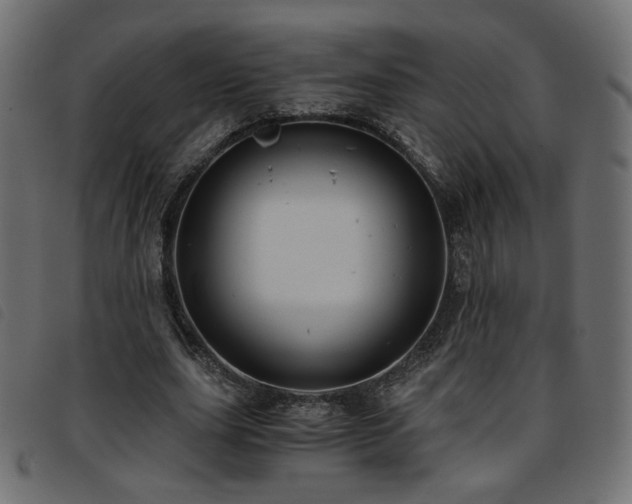 X0000093770631200710161242