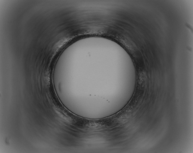 X0000093770632200710161242