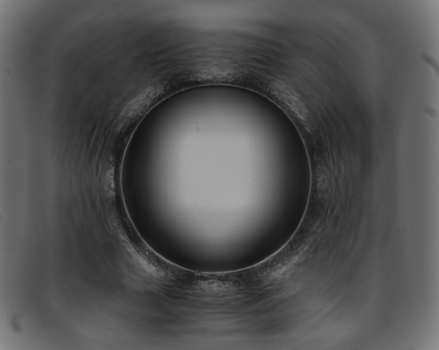 X0000093770633200710161242