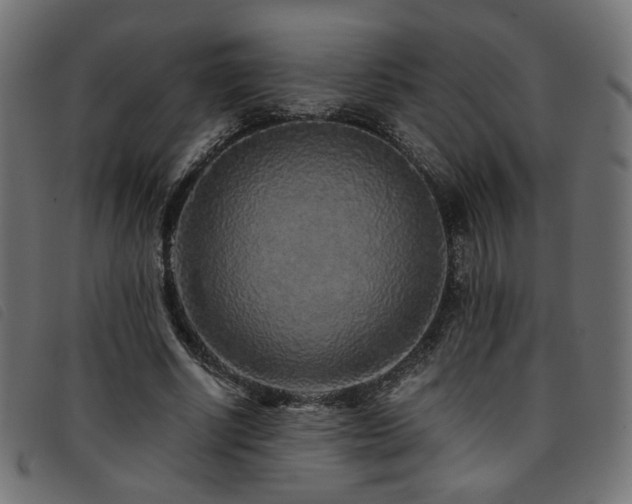 X0000093770634200710161242