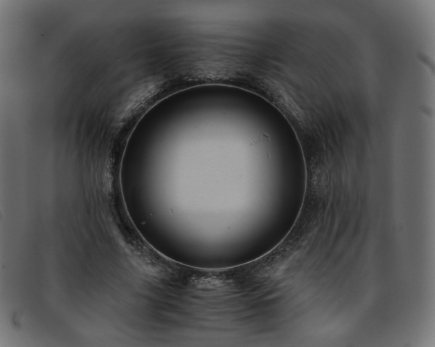 X0000093770635200710161242
