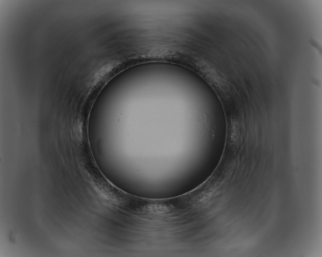 X0000093770636200710161242