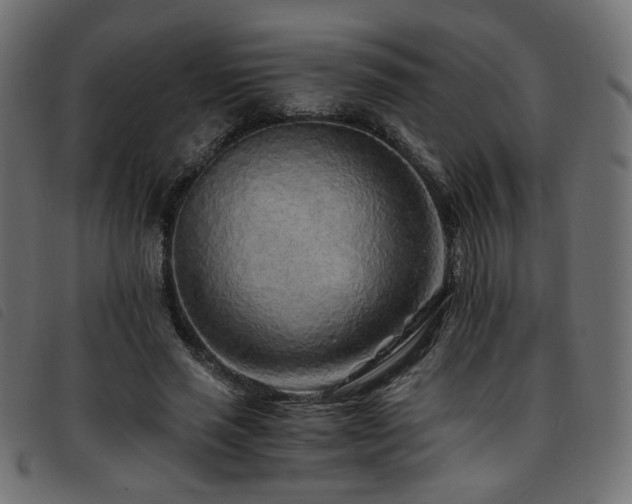 X0000093770637200710161242