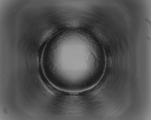 X0000093770638200710161242