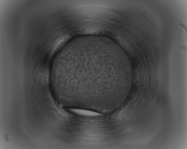 X0000093770640200710161242