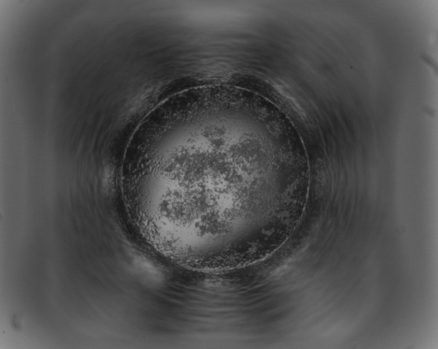 X0000093770641200710161242