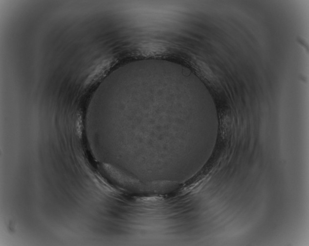 X0000093770644200710161242