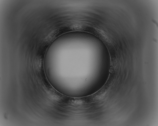 X0000093770645200710161243