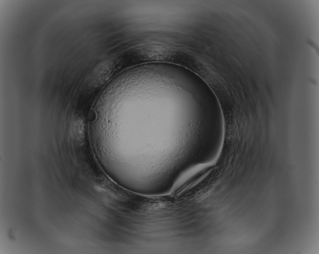 X0000093770646200710161243