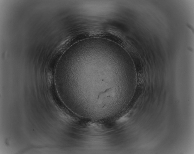 X0000093770648200710161243