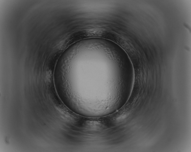 X0000093770649200710161243