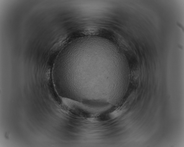 X0000093770652200710161243