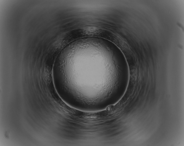 X0000093770653200710161243
