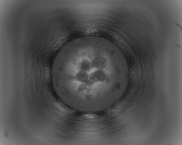 X0000093770654200710161243