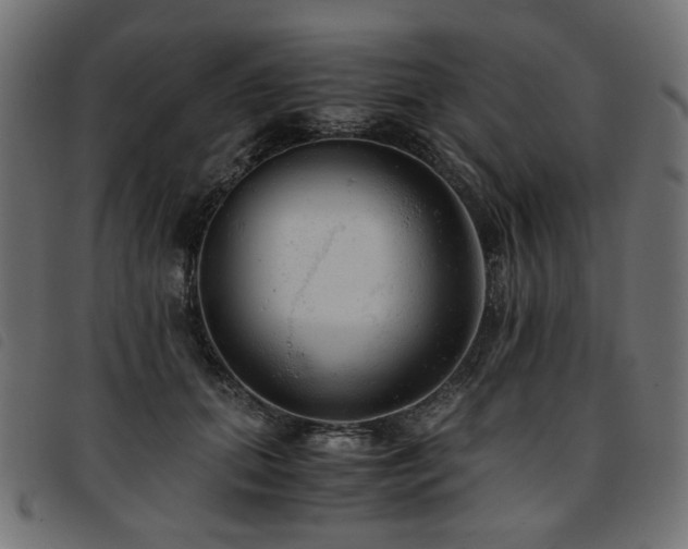 X0000093770655200710161243