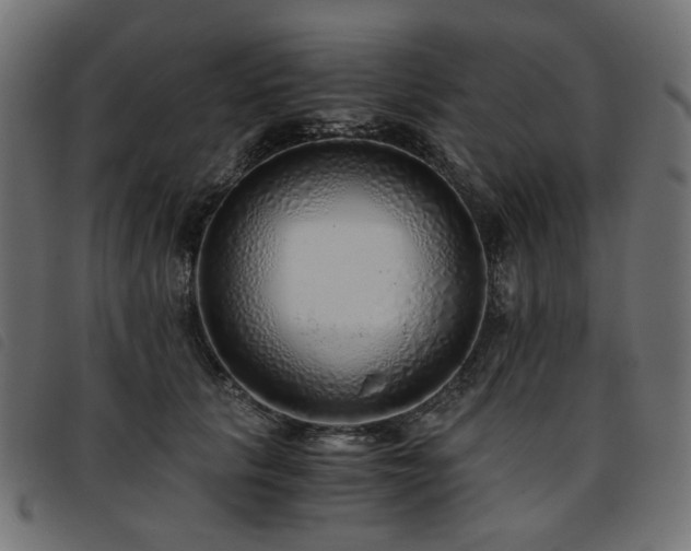 X0000093770657200710161243