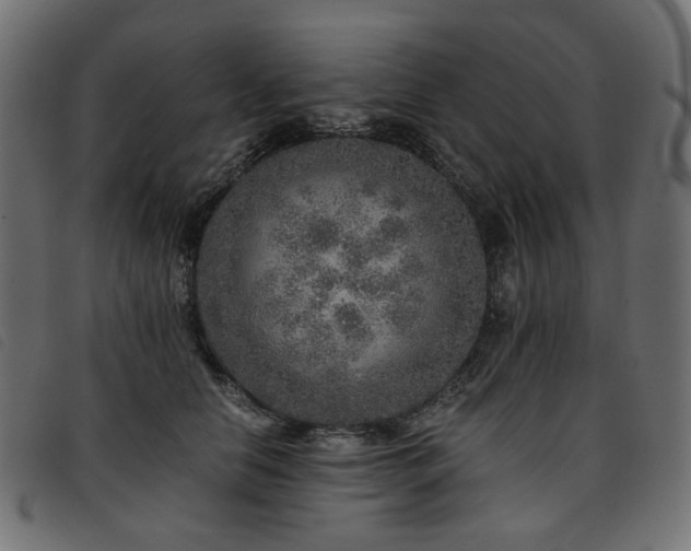X0000093770658200710161243