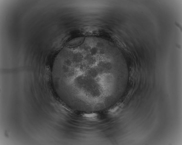 X0000093770659200710161243