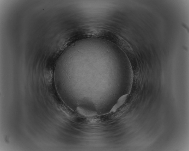 X0000093770660200710161243
