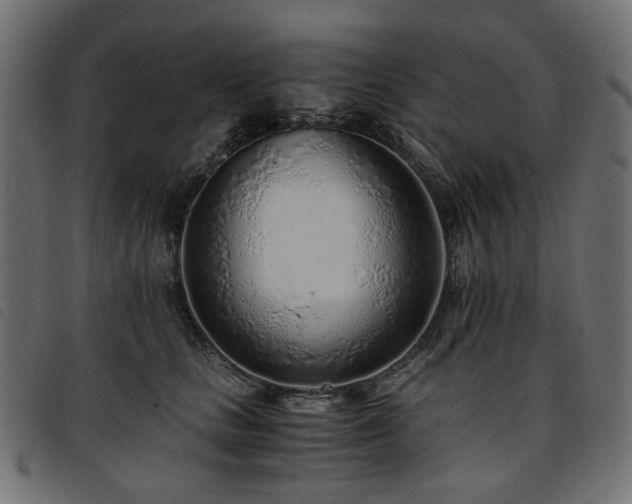 X0000093770661200710161243