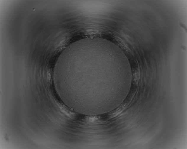 X0000093770662200710161243
