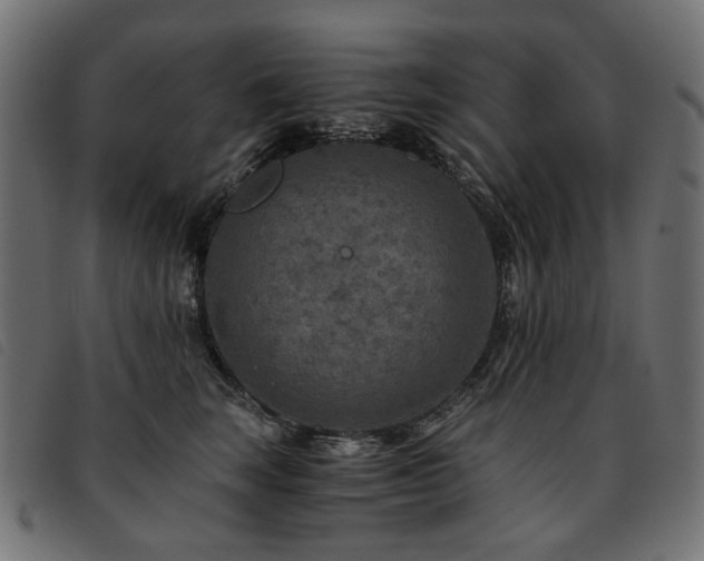 X0000093770663200710161243