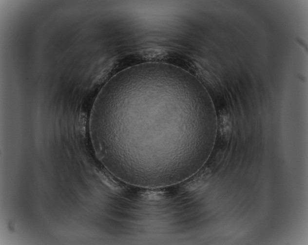 X0000093770664200710161243