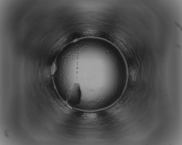 X0000093770665200710161243