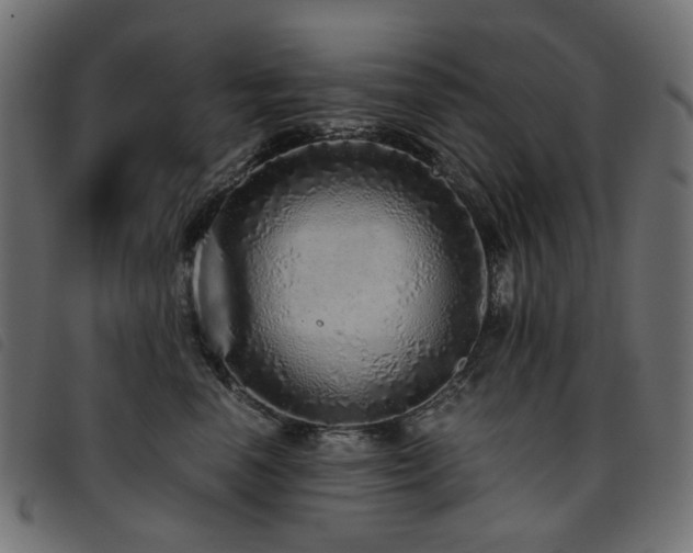X0000093770666200710161243