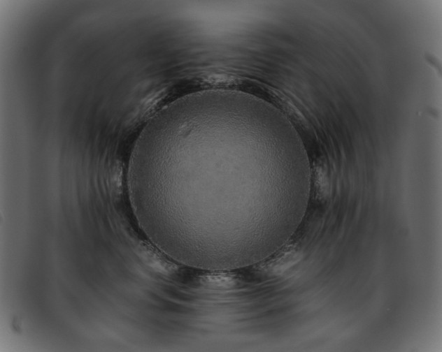 X0000093770668200710161243