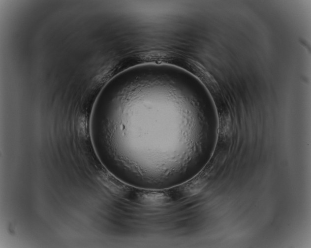 X0000093770669200710161243