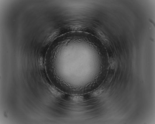 X0000093770670200710161243