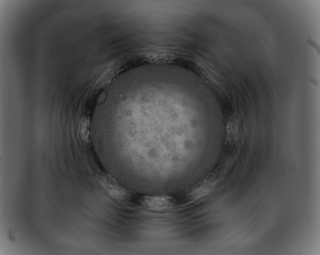 X0000093770671200710161243
