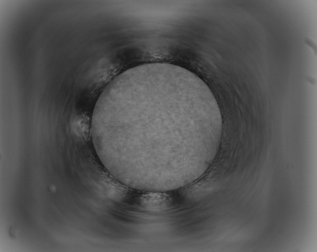 X0000093770672200710161243