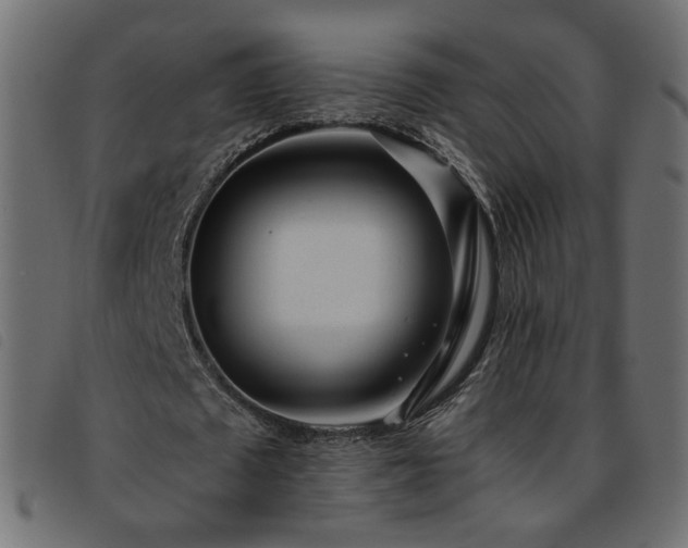 X0000093770673200710161242