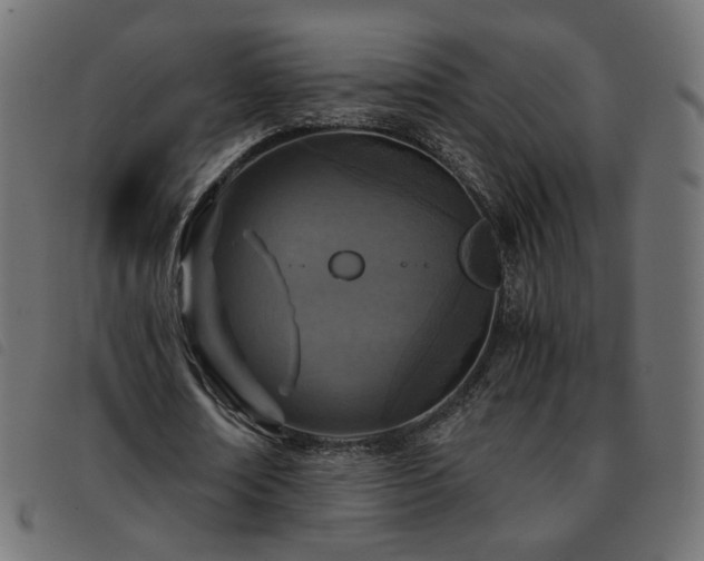 X0000093770674200710161242
