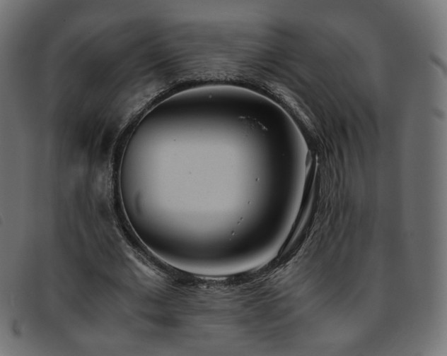 X0000093770677200710161242