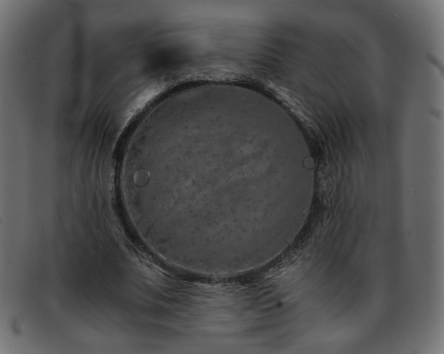 X0000093770679200710161242