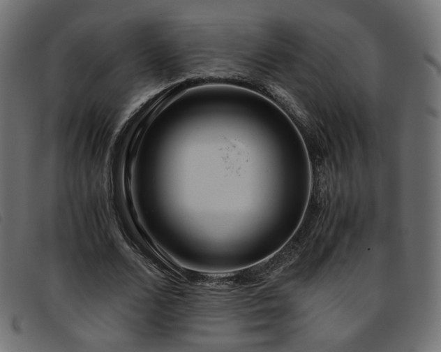 X0000093770680200710161242