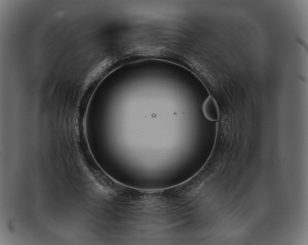 X0000093770682200710161242