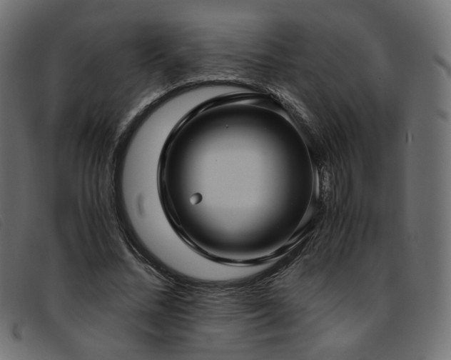X0000093770684200710161242