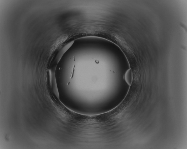 X0000093770685200710161242