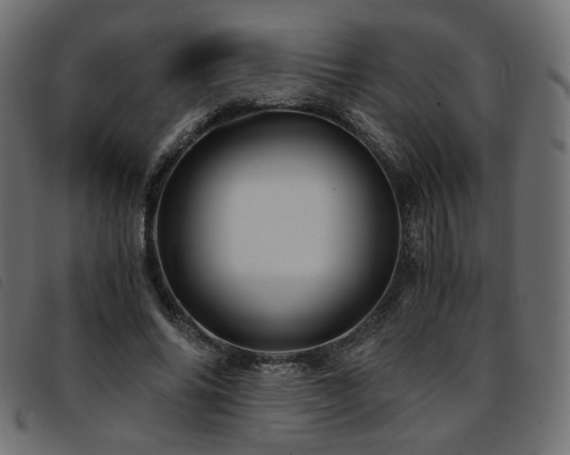 X0000093770686200710161242