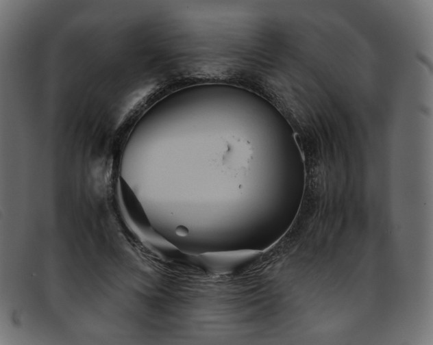 X0000093770688200710161242