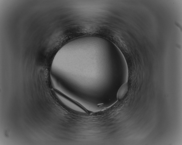 X0000093770689200710161242
