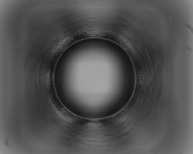 X0000093770690200710161242
